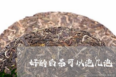 好的白茶可以泡几泡/2023121855058