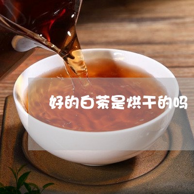 好的白茶是烘干的吗/2023071652706