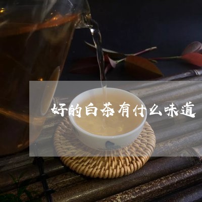 好的白茶有什么味道/2023081394829