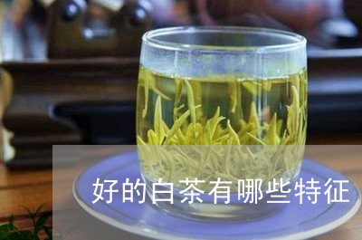 好的白茶有哪些特征/2023071638172