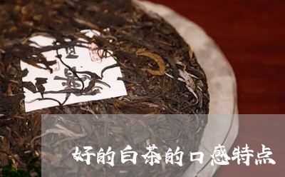 好的白茶的口感特点/2023081382816