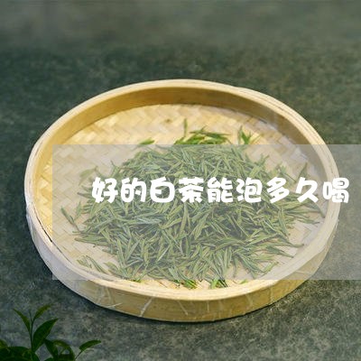 好的白茶能泡多久喝/2023071696936