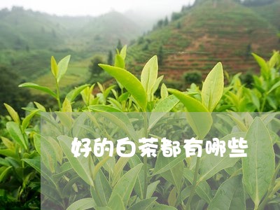 好的白茶都有哪些/2023061704971