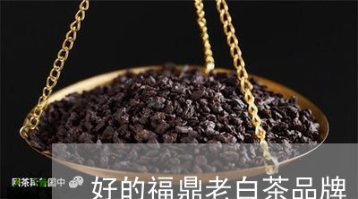 好的福鼎老白茶品牌/2023121820584