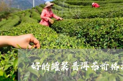 好的罐装普洱茶价格表/2023092686492