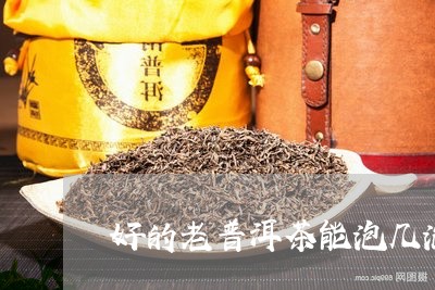 好的老普洱茶能泡几泡/2023061409384