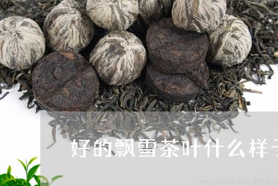 好的飘雪茶叶什么样子/2023061111937