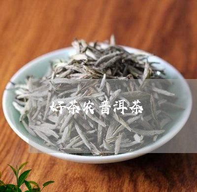 好茶农普洱茶/2023042764845