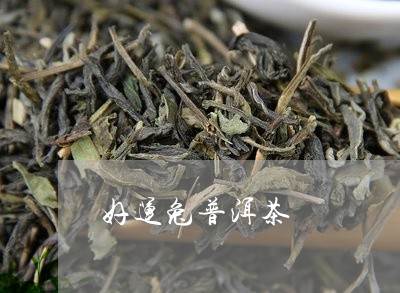 好运兔普洱茶/2023112671714