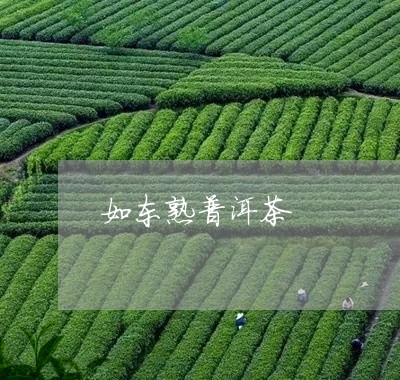 如东熟普洱茶/2023042736647