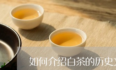 如何介绍白茶的历史文化/2023101603846