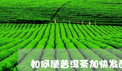 如何使普洱茶加快发酵/2023080211724