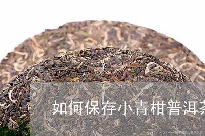 如何保存小青柑普洱茶/2023062369502