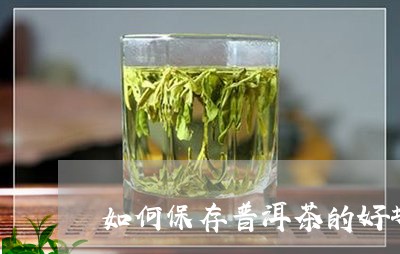 如何保存普洱茶的好坏/2023080350573