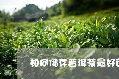 如何储存普洱茶最好的方法/2023121514847