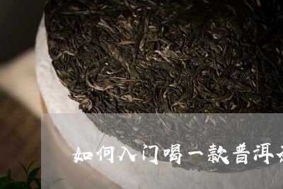 如何入门喝一款普洱茶/2023120726040