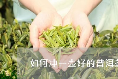 如何冲一壶好的普洱茶/2023092671601