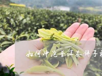 如何冲泡普洱茶饼子视频/2023110125269