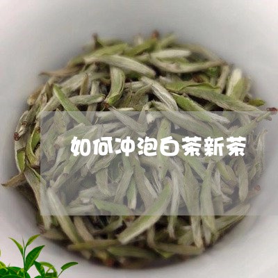 如何冲泡白茶新茶/2023061771592