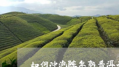 如何冲泡陈年熟普洱茶的方法/2023121538492