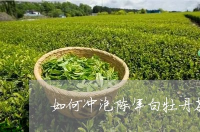 如何冲泡陈年白牡丹茶喝/2023092356258