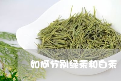 如何分别绿茶和白茶/2023081441604