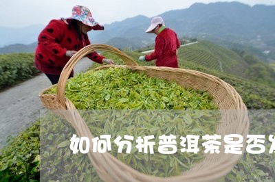 如何分析普洱茶是否发霉/2023110580472