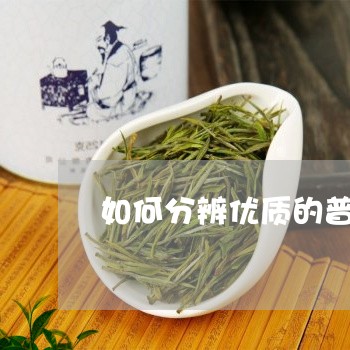 如何分辨优质的普洱茶饼/2023082918583