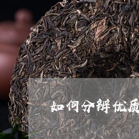 如何分辨优质的普洱茶饼/2023121582837