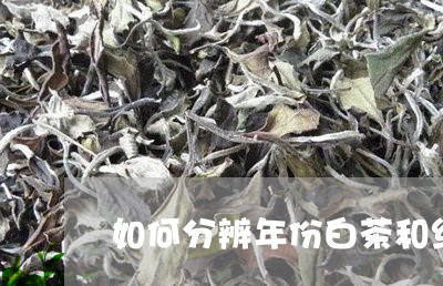 如何分辨年份白茶和红茶/2023101628480