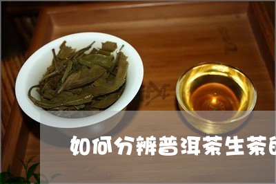 如何分辨普洱茶生茶的好坏/2023112975148