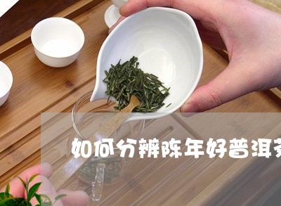 如何分辨陈年好普洱茶的真假/2023052815460