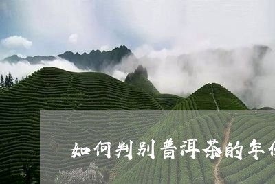 如何判别普洱茶的年份和产地/2023052973847