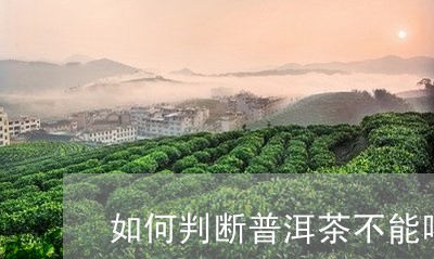 如何判断普洱茶不能喝/2023100526040