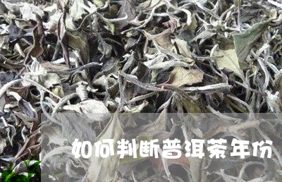 如何判断普洱茶年份/2023070829362