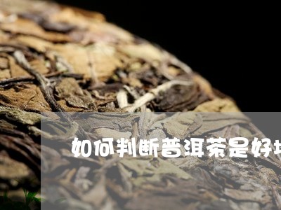 如何判断普洱茶是好坏茶/2023112494937