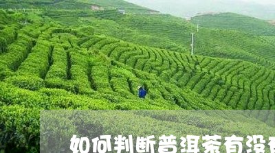 如何判断普洱茶有没有发霉过/2023102543827