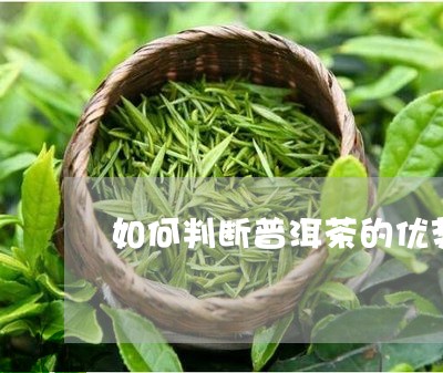 如何判断普洱茶的优势/2023062936967