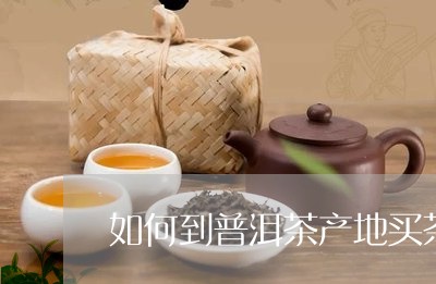 如何到普洱茶产地买茶/2023080318171