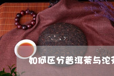 如何区分普洱茶与沱茶/2023062999671