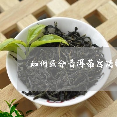 如何区分普洱茶宫廷料/2023100719394