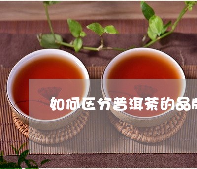 如何区分普洱茶的品牌/2023062473926