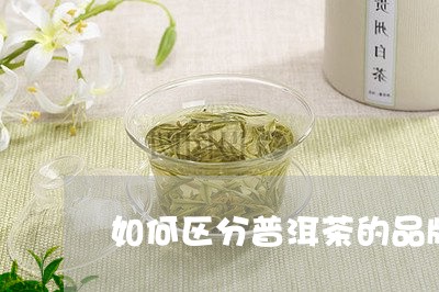 如何区分普洱茶的品牌/2023073171492