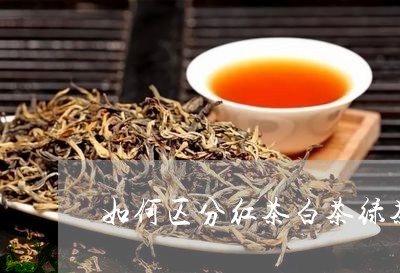 如何区分红茶白茶绿茶/2023092867595