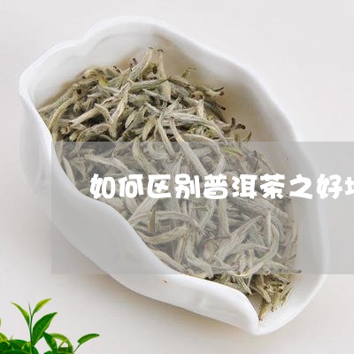 如何区别普洱茶之好坏/2023100559252