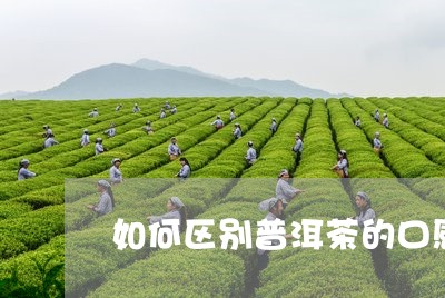 如何区别普洱茶的口感好坏/2023112497179