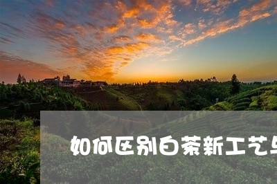 如何区别白茶新工艺与传统工艺/2023073050585