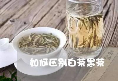 如何区别白茶黑茶/2023061721681