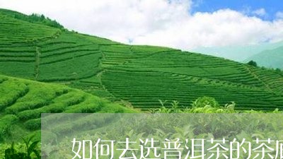 如何去选普洱茶的茶底灰/2023121617371