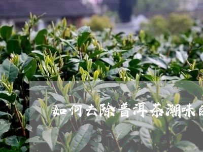 如何去除普洱茶潮味的方法/2023112455835